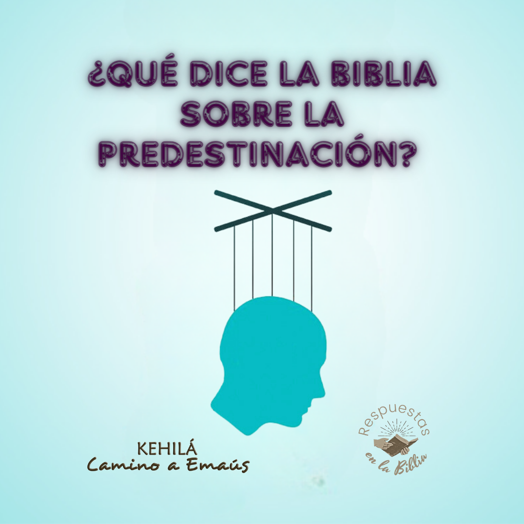 197 Qué dice la Biblia sobre la predestinación